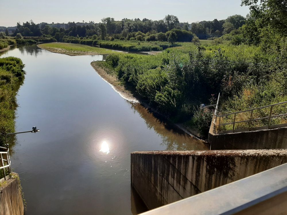 Sedimentvang op de Dijle in Egenhoven