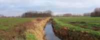 Kwetsbare Ledebeek sterker tegen droogte en wateroverlast door herinrichting