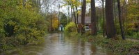 Meer dan 50 maatregelen verminderen overstromingsrisico’s in Zedelgem en Sint-Michiels